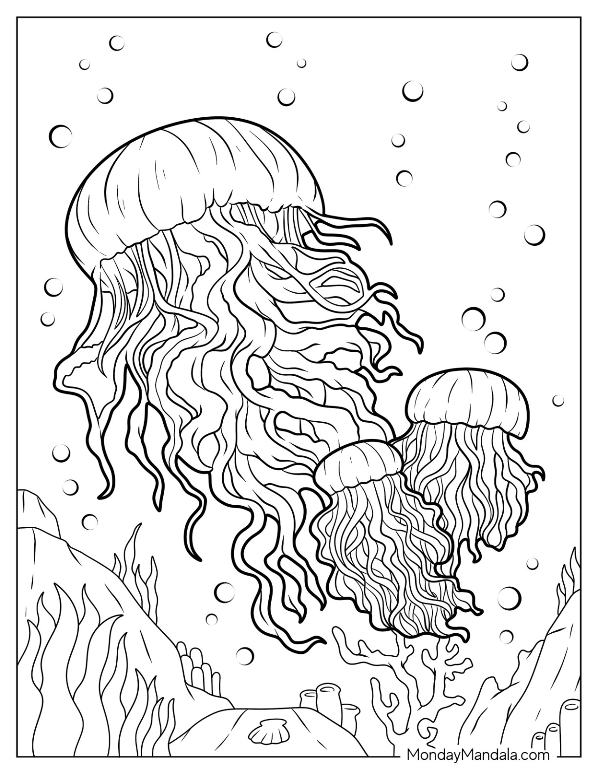 Jellyfish coloring pages free pdf printables