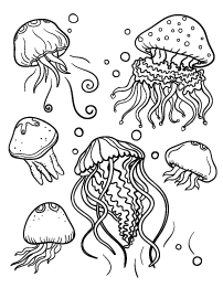 Jellyfish coloring page animal coloring pages fish coloring page coloring pages