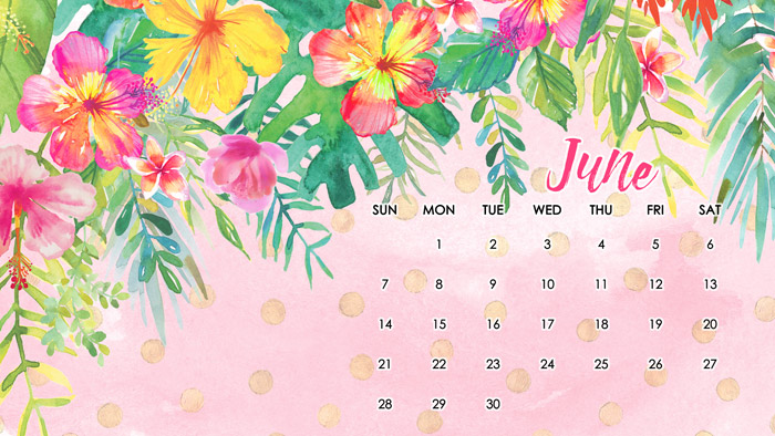 Free june desktop wallpaper for all devices i should be mopping the floor