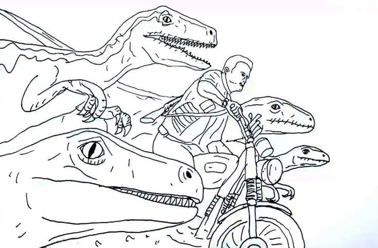 Jurassic world coloring pages images free printable coloring pages dinosaur coloring pages blue jurassic world