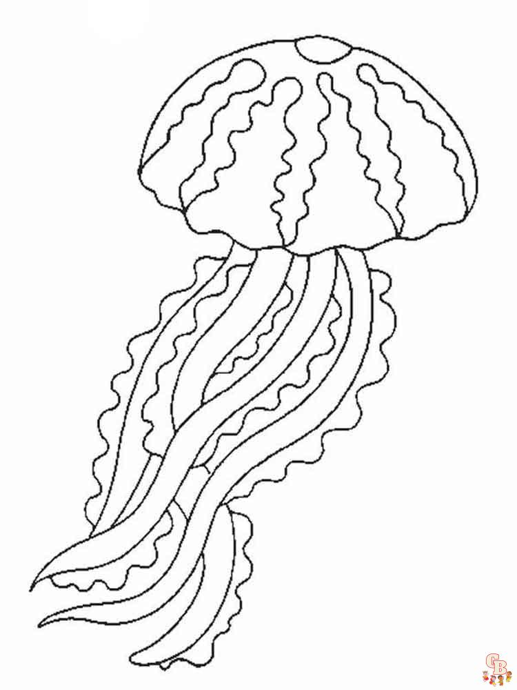 Jelly fish coloring pages free printable
