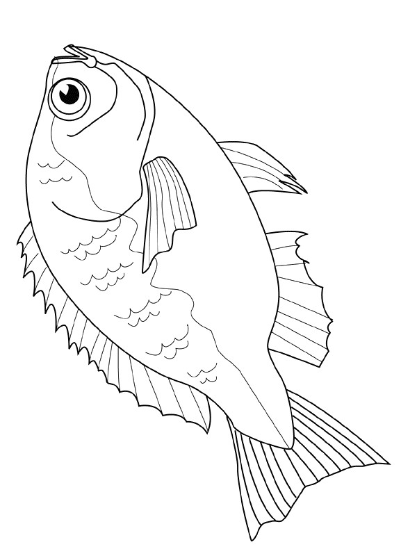 Fish coloring pages fish coloring page animal coloring pages fish drawings