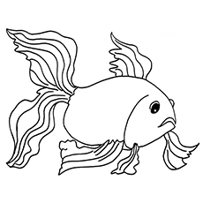 Top free printable fish coloring pages online