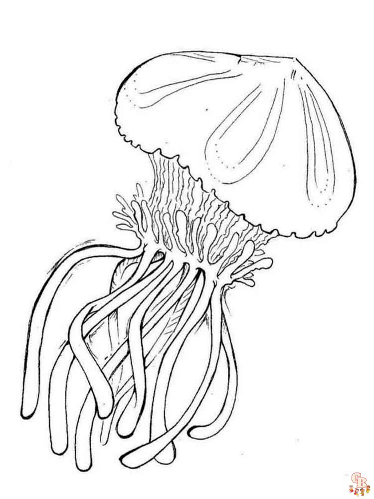 Jelly fish coloring pages free printable