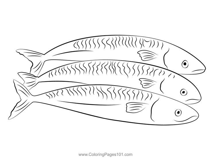 Mackerel coloring page coloring pages coloring pages for kids color