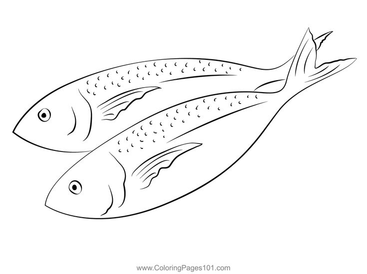Horse mackerel whole round coloring page coloring pages coloring pages for kids printable coloring pages