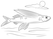 Fish coloring pages free coloring pages