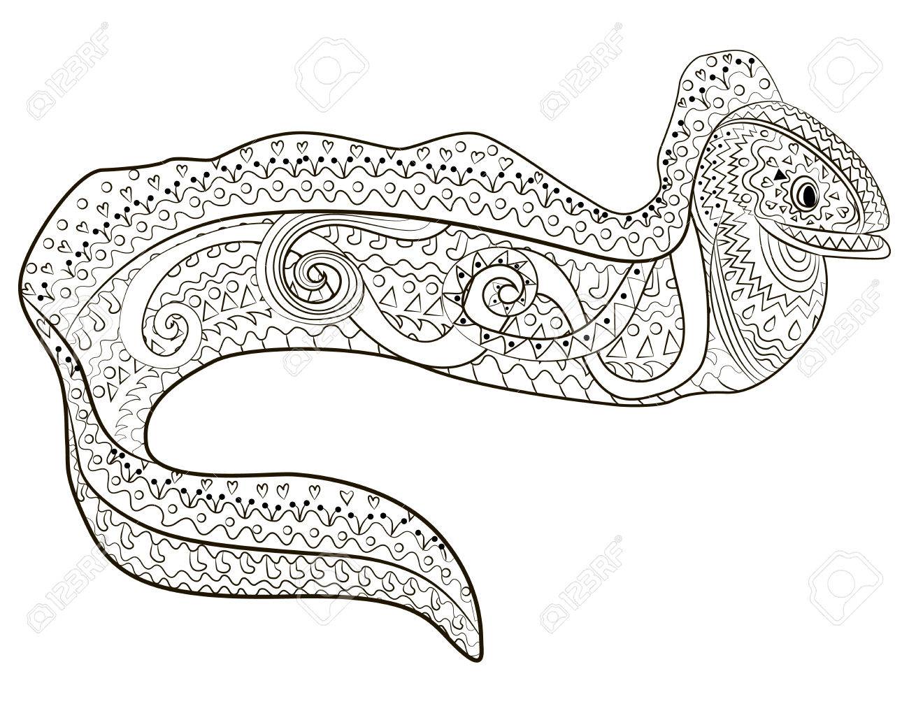 Ugly and creepy fish with high details for anti stress coloring page illustration of a moray in tracery style sketch of moray eel for tattoo poster print t