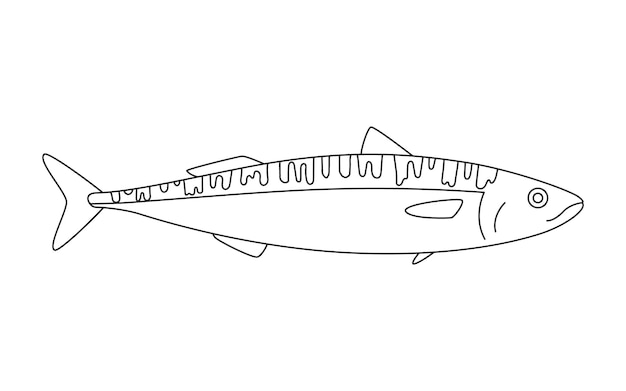 Premium vector mackerel line art underwater animal water gourmet coloring children vector illustration isolated