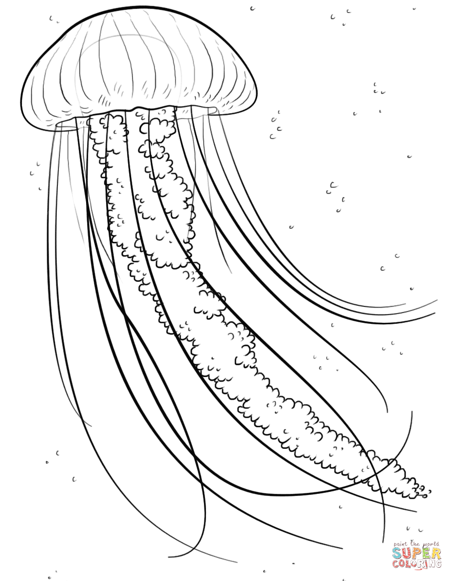 Jelly fish coloring page free printable coloring pages