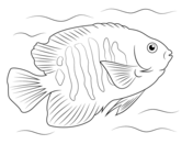 Fish coloring pages free coloring pages