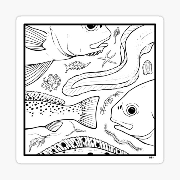 Permit fish stickers for sale