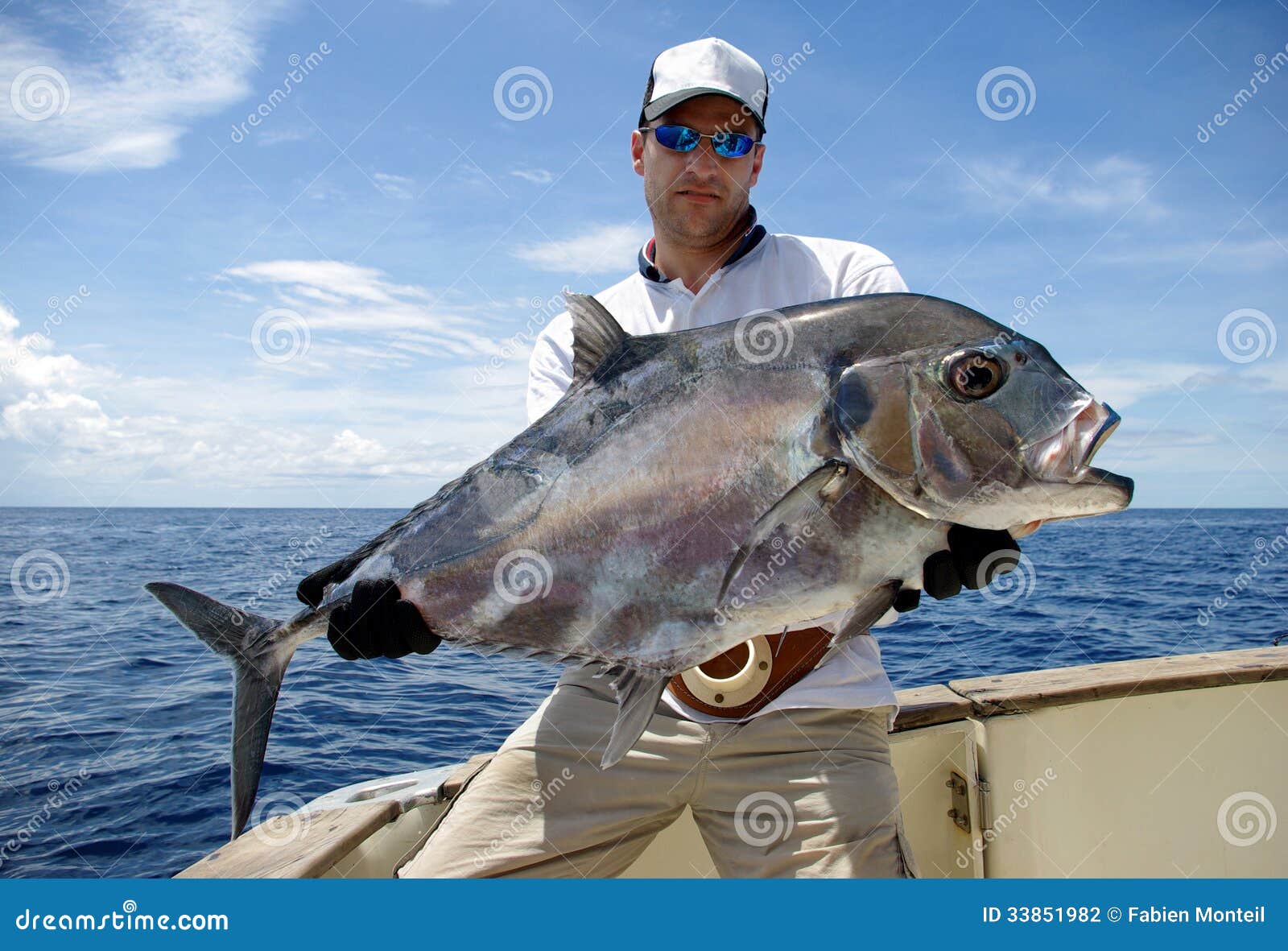 Jack mackerel stock photos