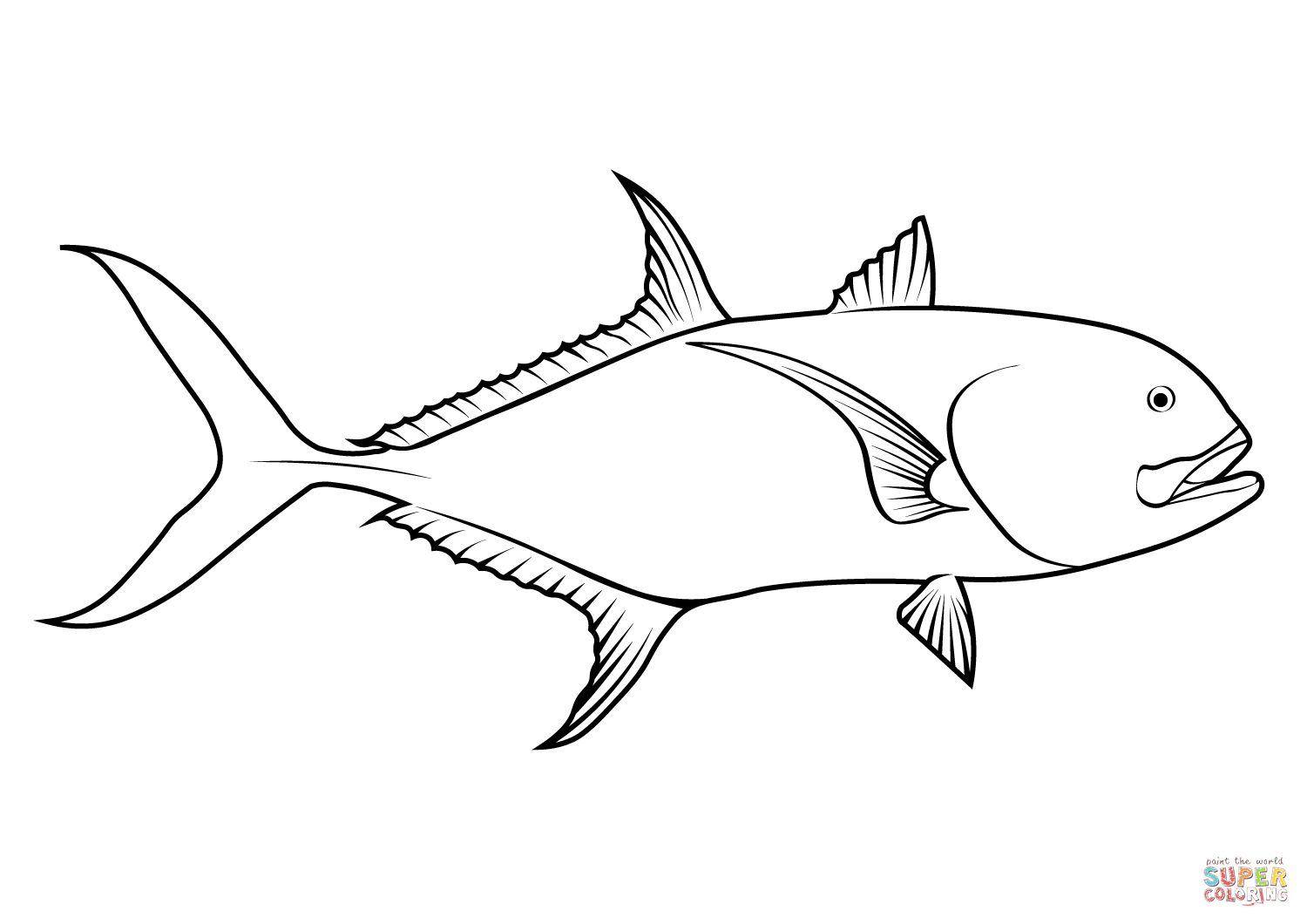 Yellow crevalle jack caranx hippos coloring page free printable coloring pages
