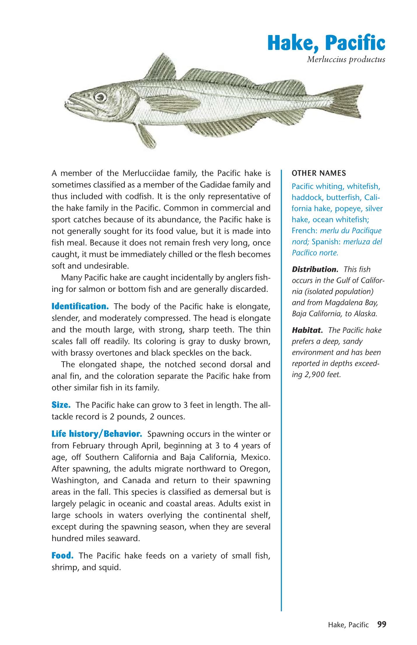 Ken schultzs field guide to saltwater fish