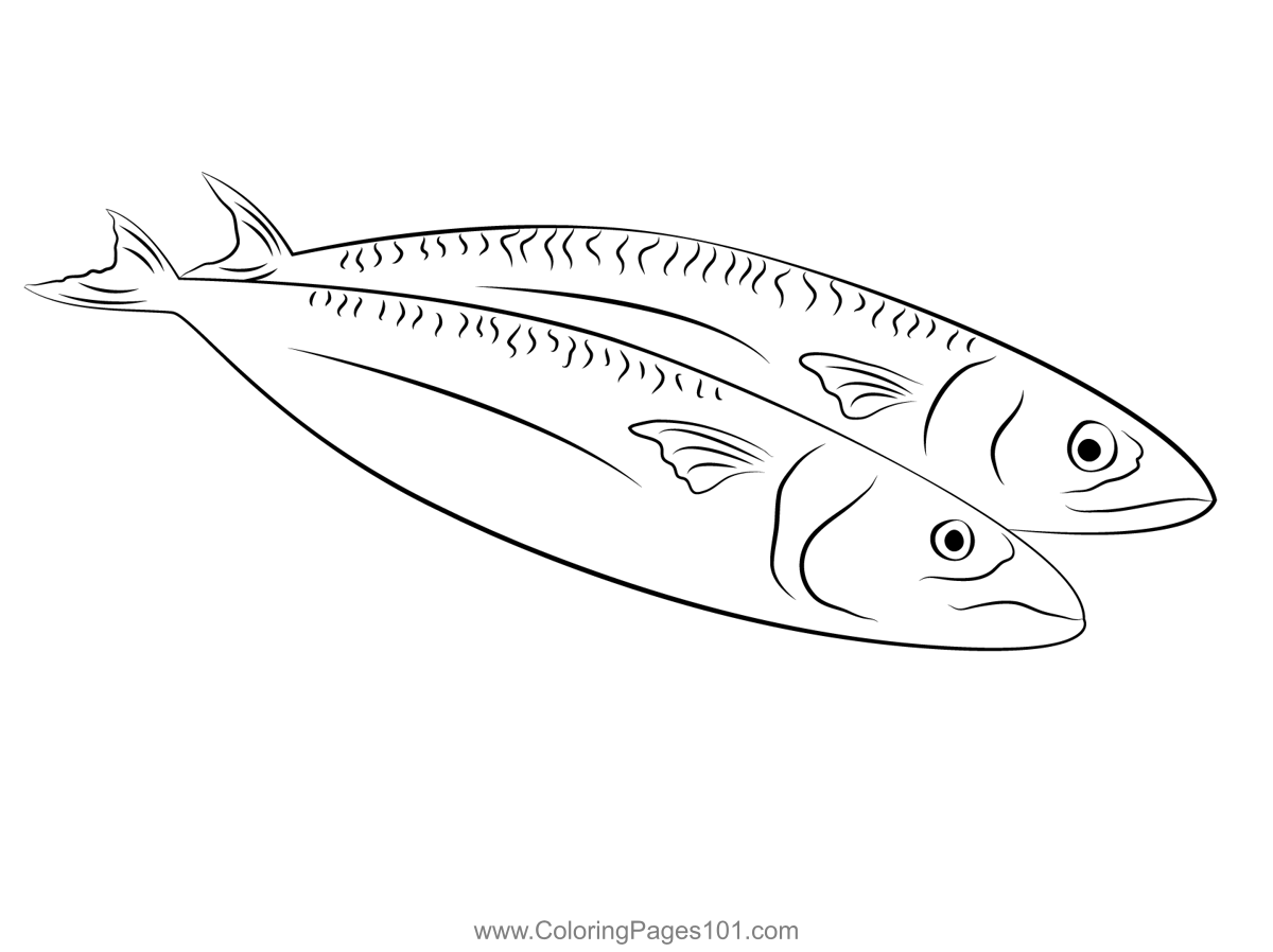 Fresh mackerel coloring page in coloring pages color coloring pages for kids