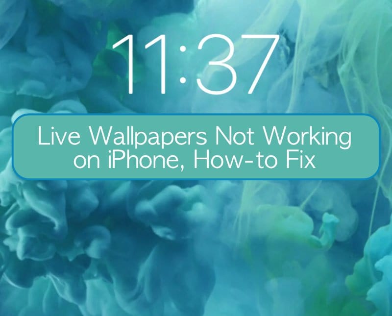 Live wallpapers not working on iphone lets fix it