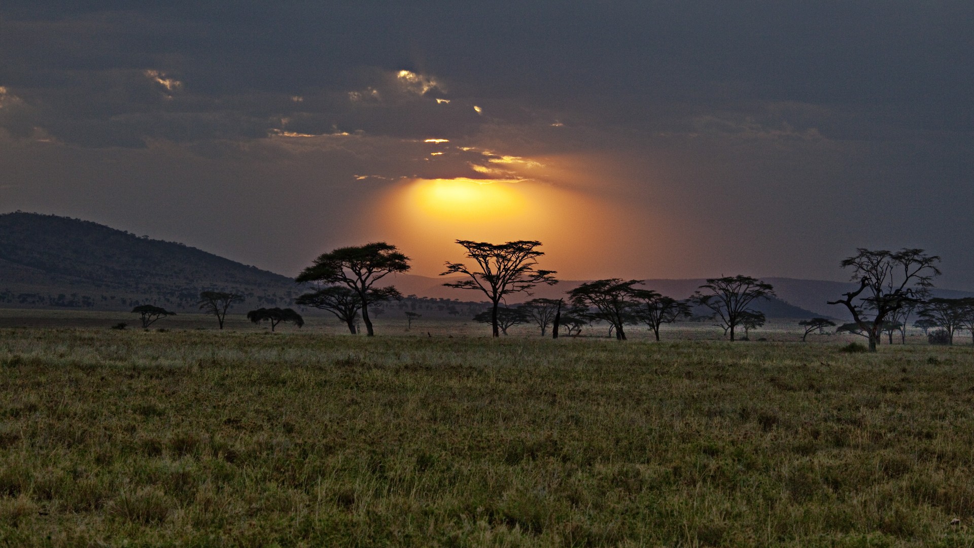 Africa kenya savannah sunset sky clouds trees wallpapers hd desktop and mobile backgrounds