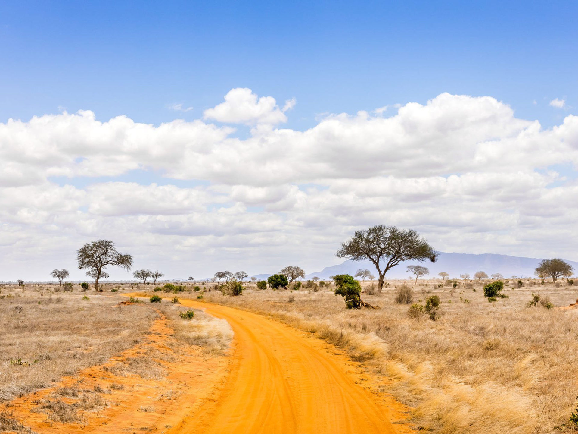 Safari road in kenya savannah landscape photography k ultra hd wallpapers for high resolution puter and laptop