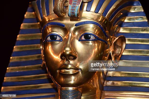 King tut photos and premium high res pictures
