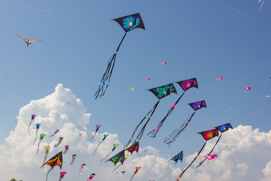 Kite festival images â browse photos vectors and video