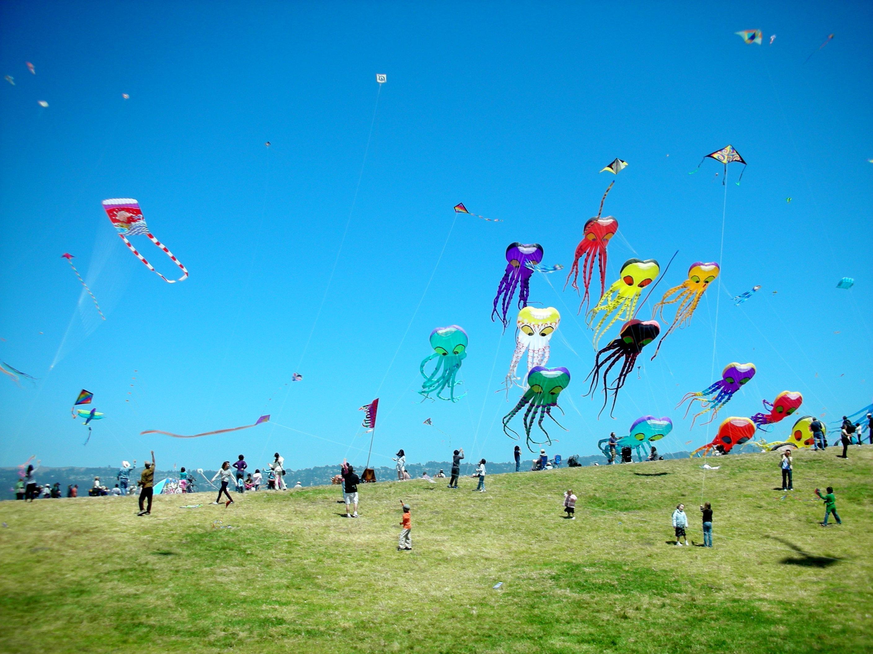 Wallpapers kite flying