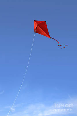 Kite flying photos