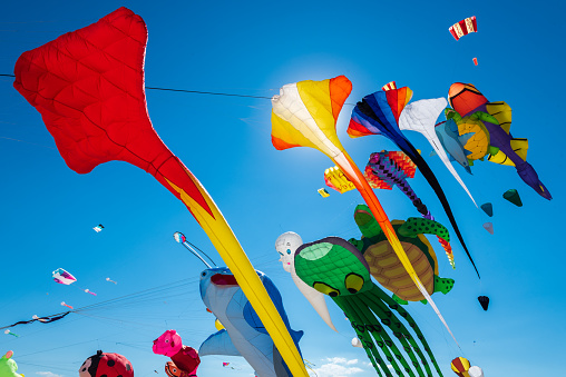 Kite festival pictures download free images on