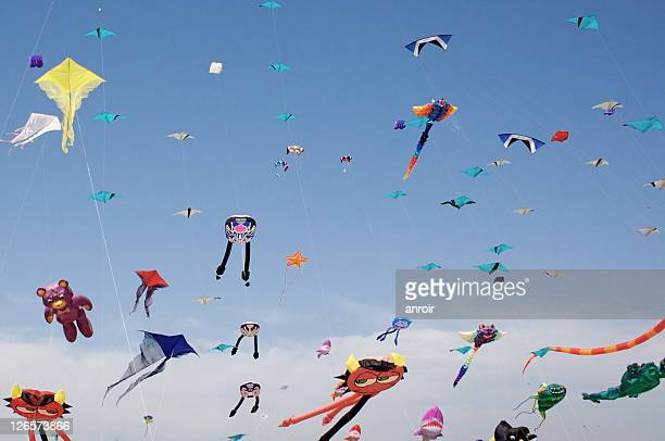 Kite festival photos and premium high res pictures