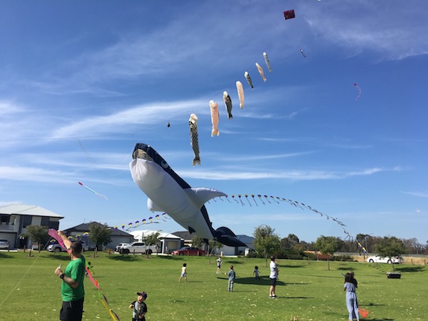 Munity kite festival photos