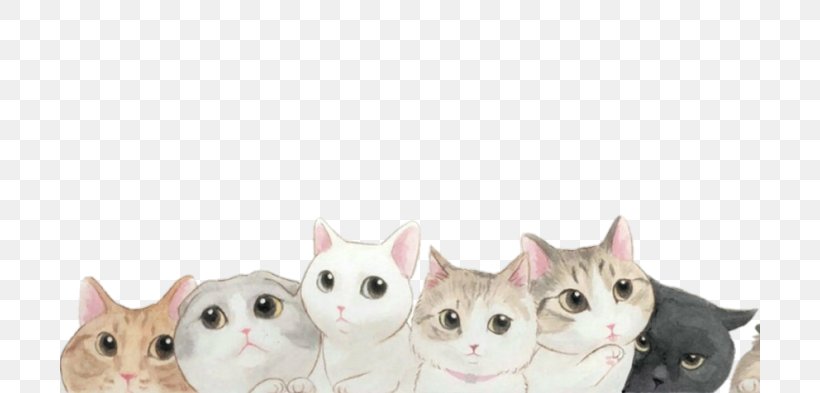 Kitten cat desktop wallpaper png xpx kitten building carnivoran cat cat like mammal download free
