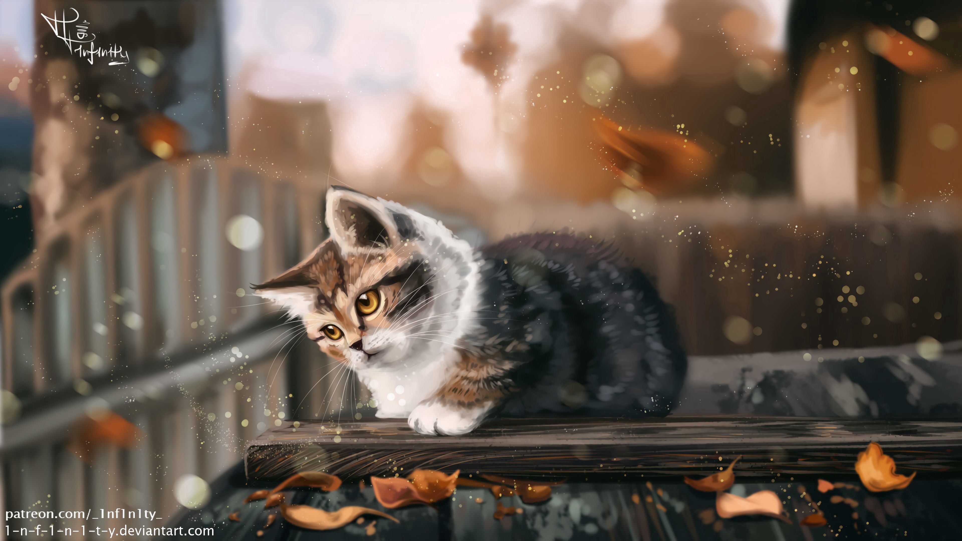 Ile kitty kitten cat leaves autumn art download the picture for free