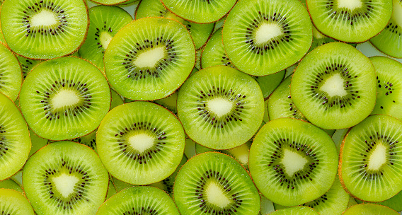 Kiwi pictures hd download free images on