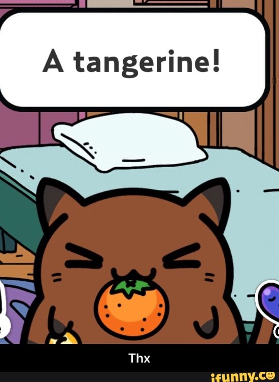 Kleptocats memes best llection of funny kleptocats pictures on