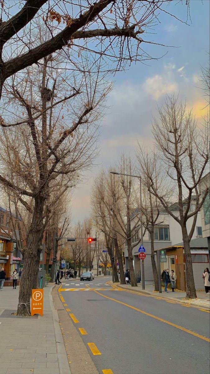 Korean street latar belakang fotografi alam pemandangan