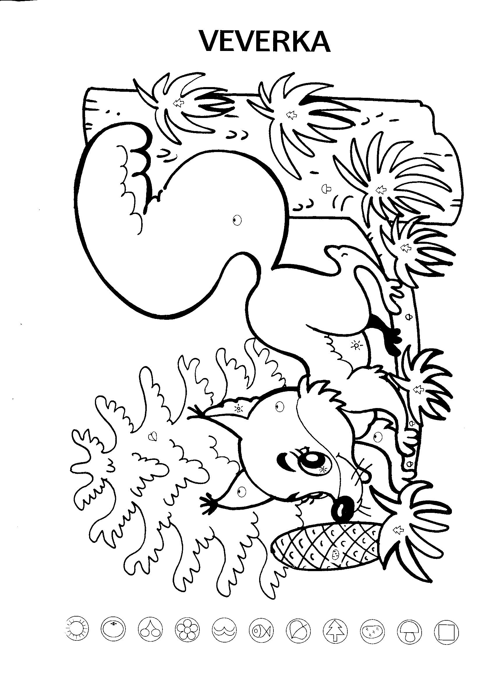 Veverka coloring pages free coloring pages woodland creatures