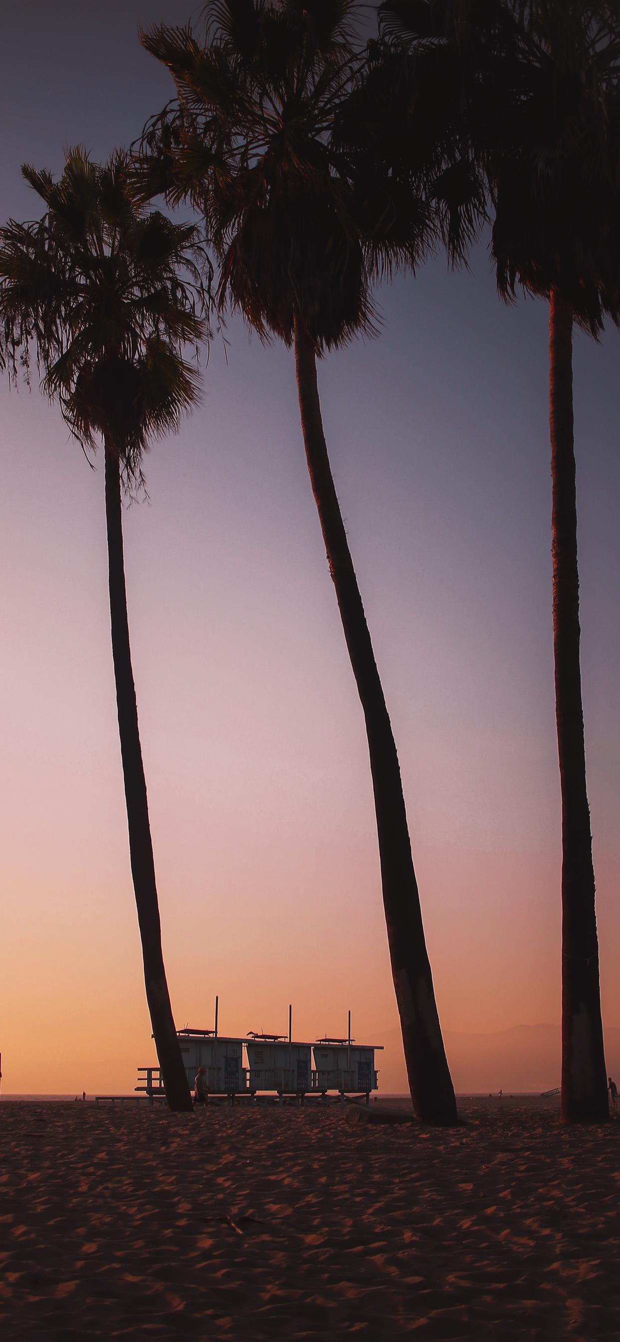 Sunsets in venice beach are like ketchup to your f iphone x wallpapers free download