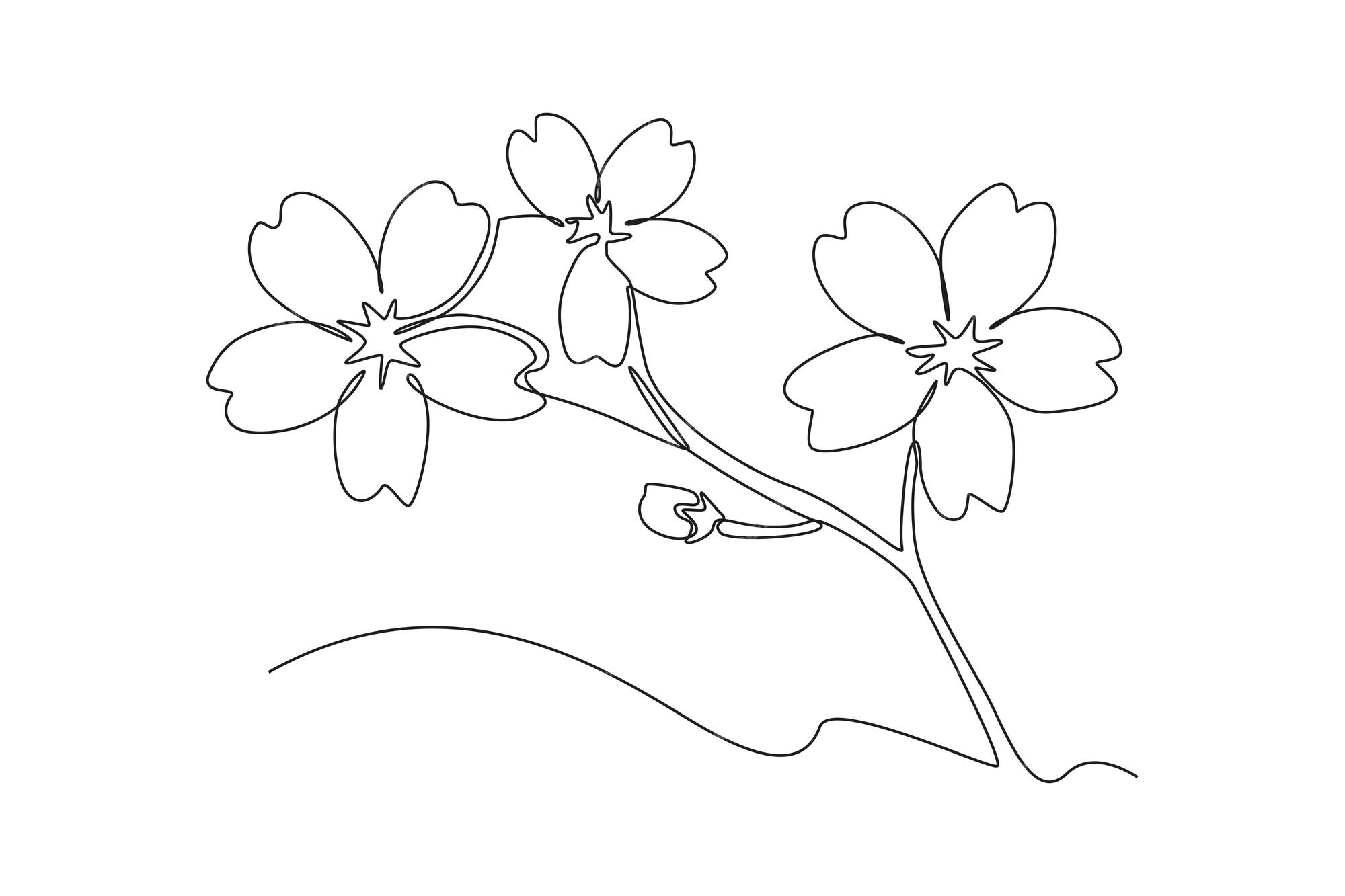 Desenho de uma linha ãºnica flor de primavera de cerejeira conceito de flor de cerejeira desenho de linha contãnua ilustraãão vetorial grãfica vetor premium