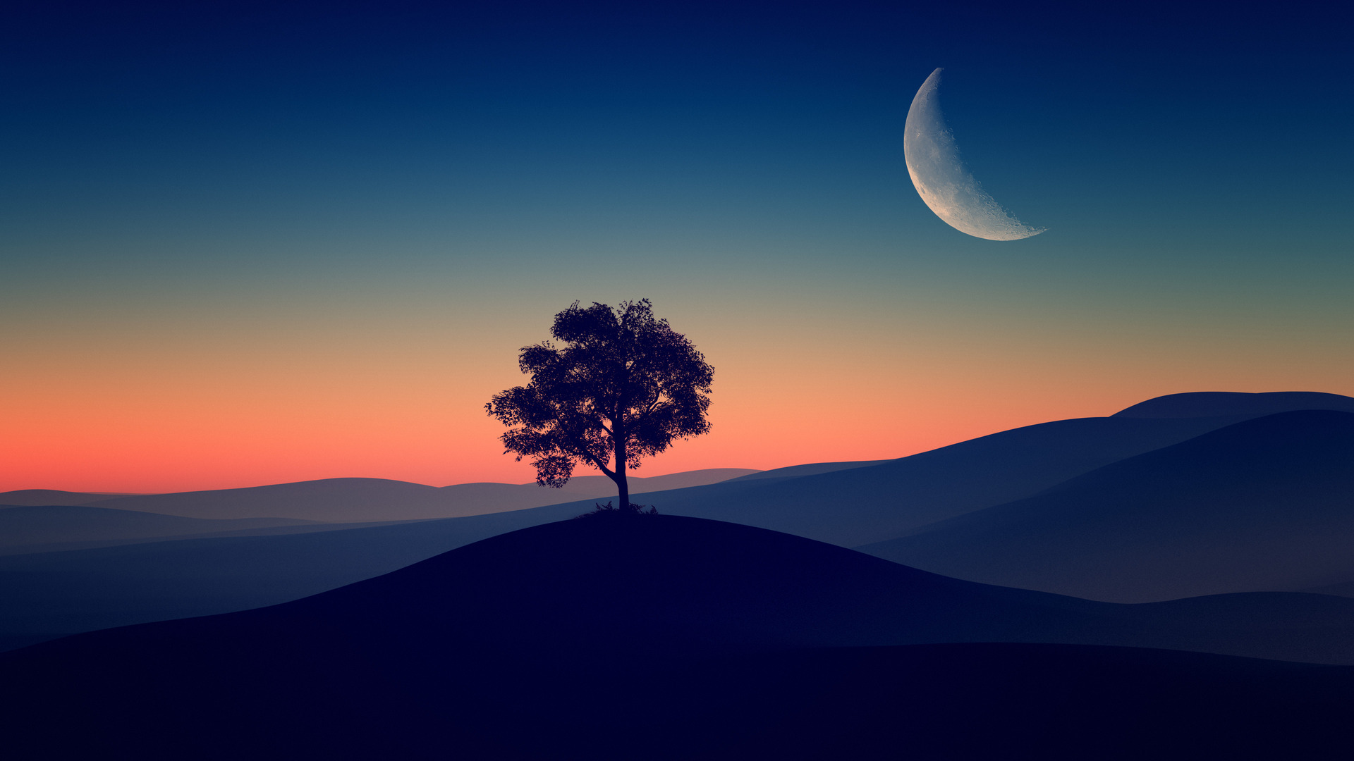 X tree alone dark evening k laptop full hd p hd k wallpapers images backgrounds photos and pictures
