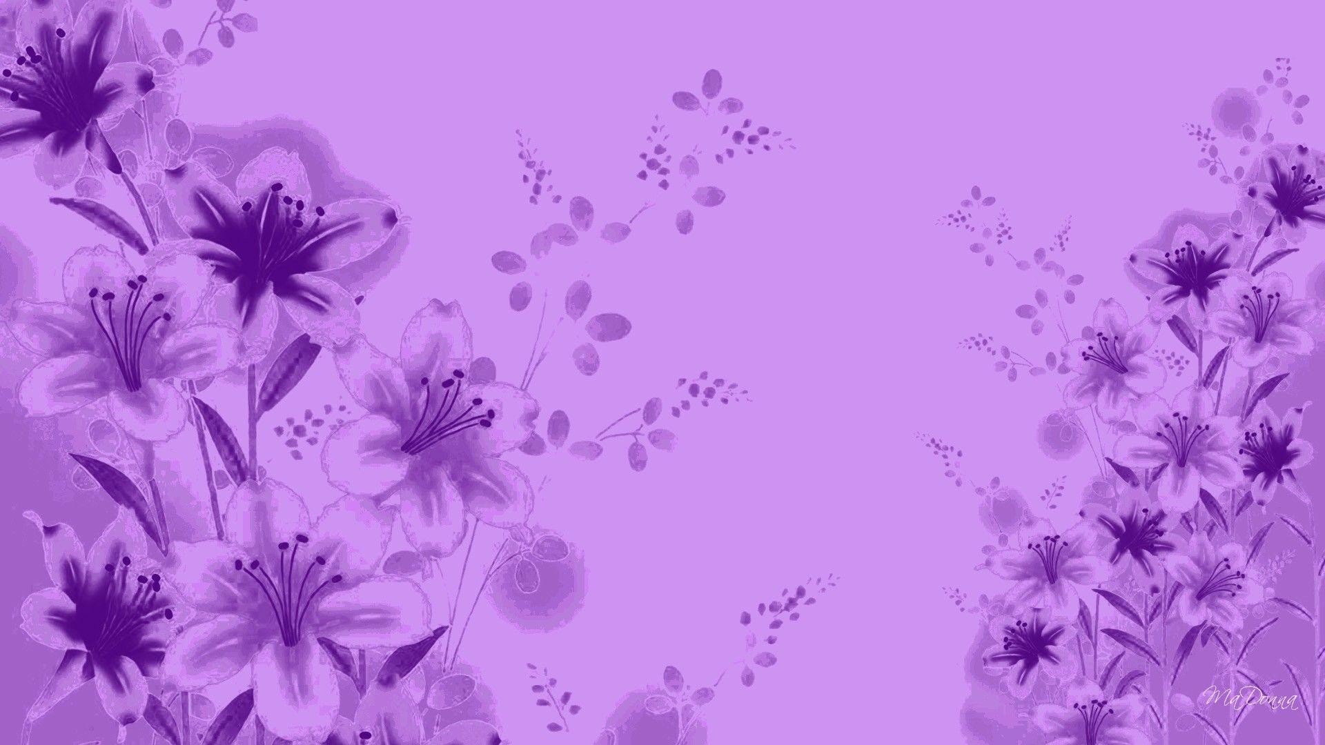 Lavender color wallpaper pictures