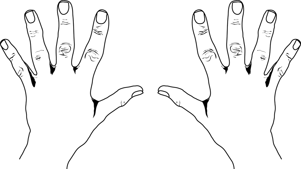 European style counting hands clipart
