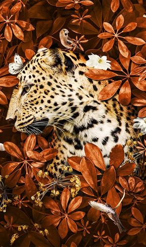 Leopard Dark Art Wallpapers - Cool Leopard Wallpaper for iPhone