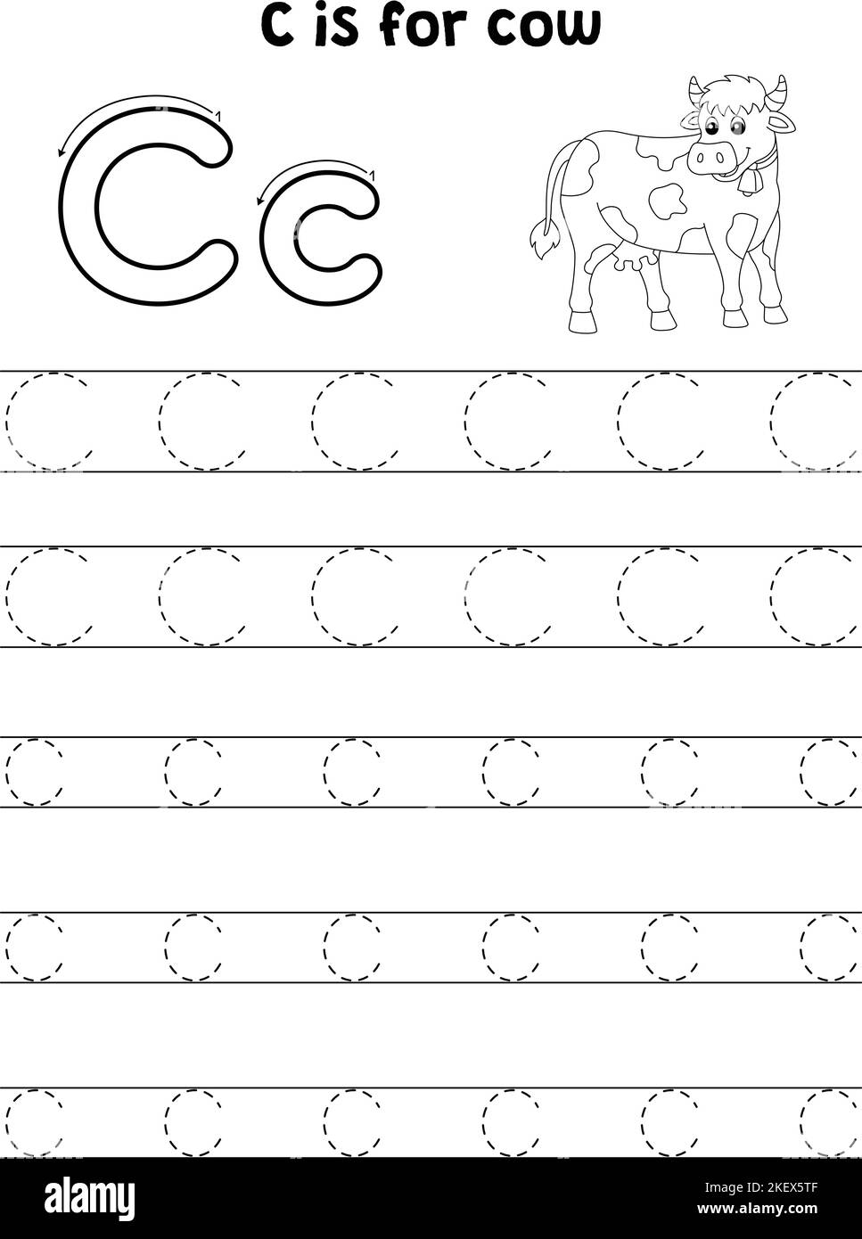 Cow animal tracing letter abc coloring page c stock vector image art