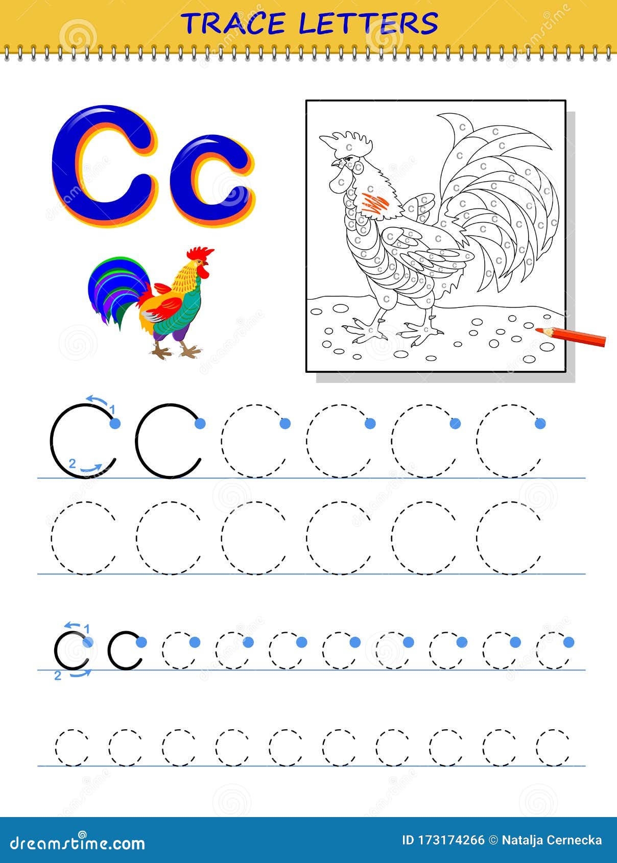 Tracing letter c for study alphabet printable worksheet for kids education page for coloring book stock vector