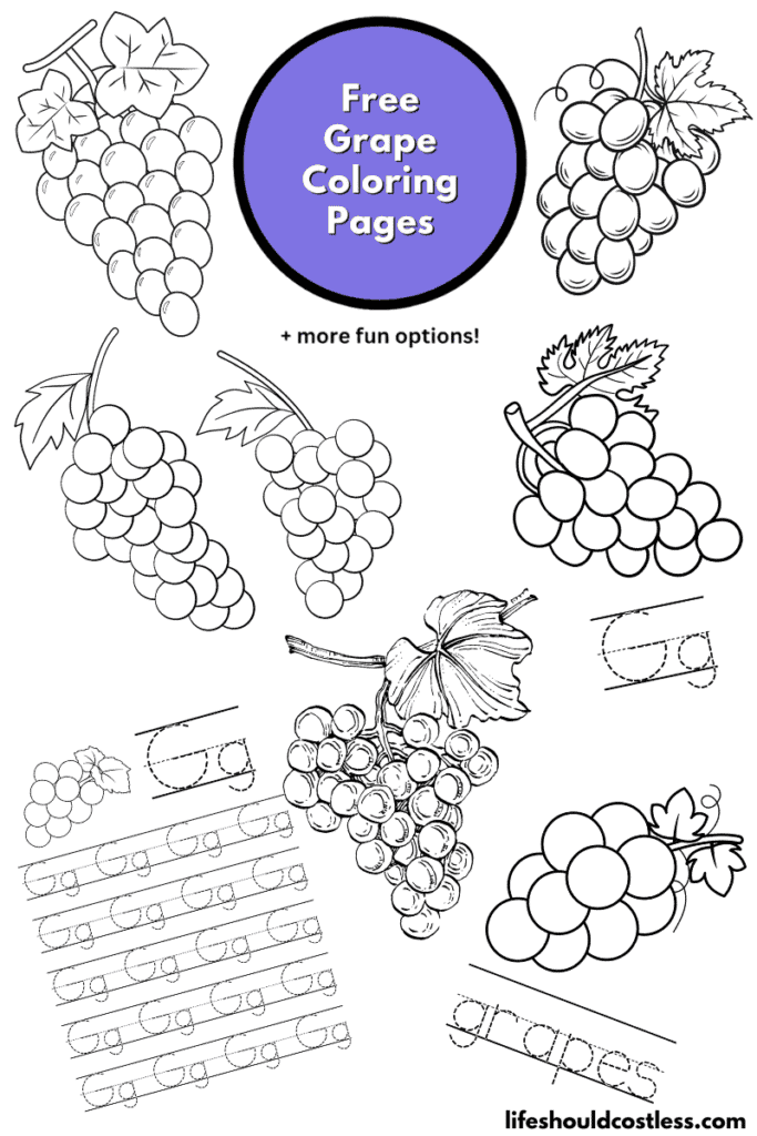 Grape coloring pages free printable pdf templates