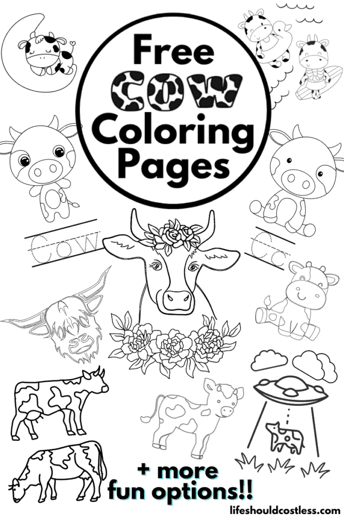 Cow coloring pages free printable pdf templates