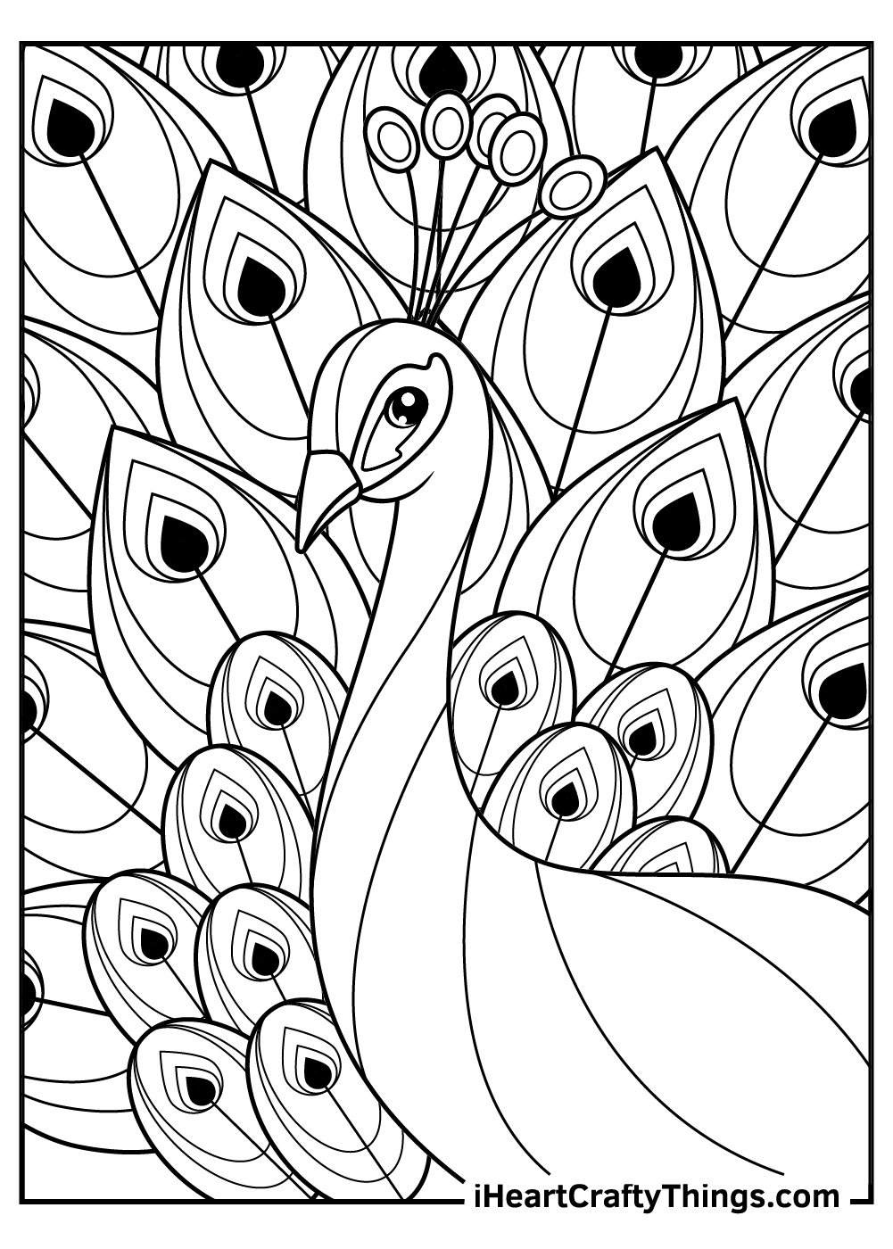 Peacocks coloring pages free printables