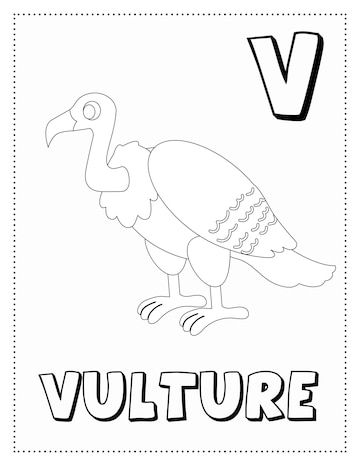 Premium vector letter v is for vulture coloring page coloring book letter animals for kids