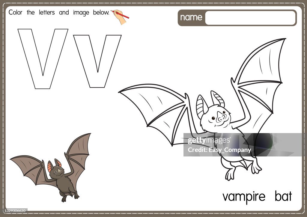 Vector illustration of kids alphabet coloring book page with outlined clip art to color letter v for vampire bat high