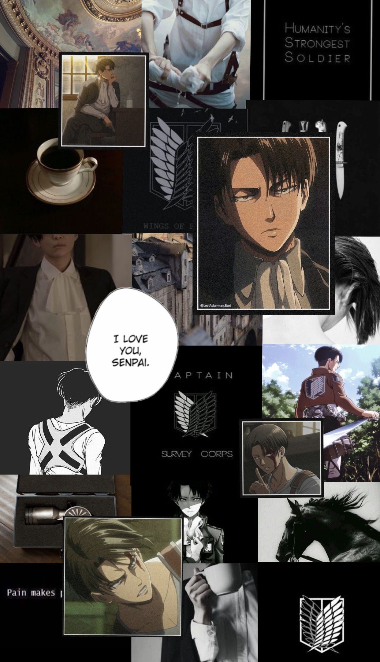 Levi aesthetic wallpapers